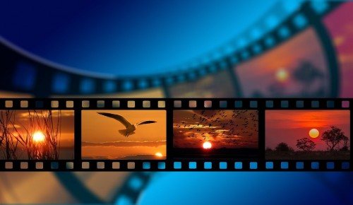 Школа №2009 Южного Бутова рекомендует топ-5 фильмов в жанре научпоп