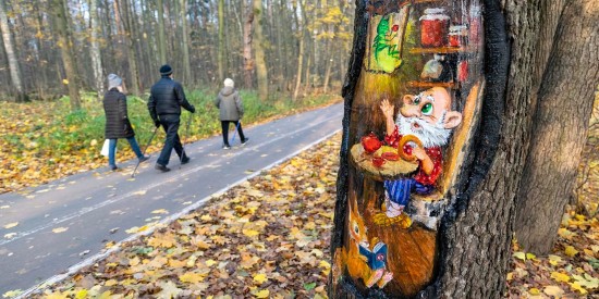 Собянин рассказал, как рисунки на поврежденных деревьях продлевают им жизнь