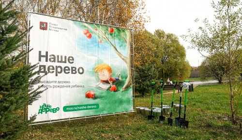 В рамках проекта «Наше дерево» молодые родители Москвы посадят более 8 тыс. деревьев