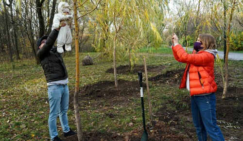 Свыше 8 тыс. заявок подали москвичей на участие в проекте «Наше дерево»