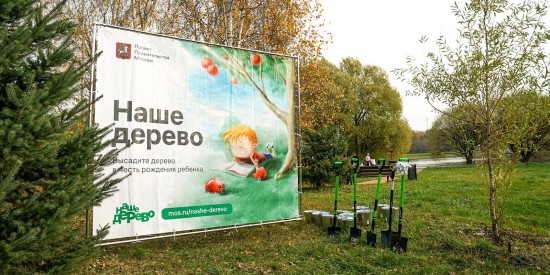 В рамках проекта «Наше дерево» молодые родители Москвы посадят более 8 тыс. деревьев