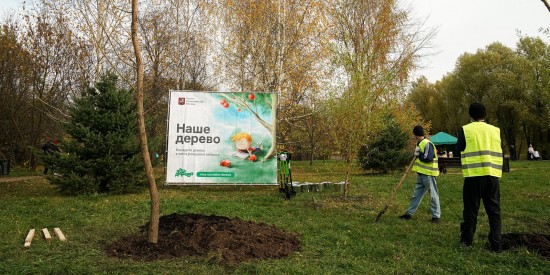 Более 8 тыс. заявок подали молодые родители Москвы к участию в проекте «Наше дерево»