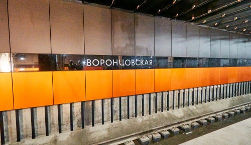 На станции «Воронцовская» завершается монтаж подвесного потолка из 11,6 тыс. элементов