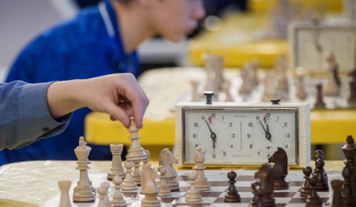 Логика и память: какие способности развивают у ребёнка шахматы