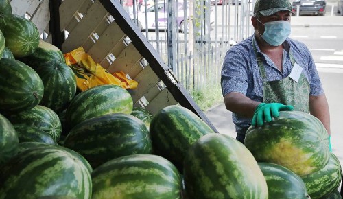 В Москве на развалах продают арбузы и дыни