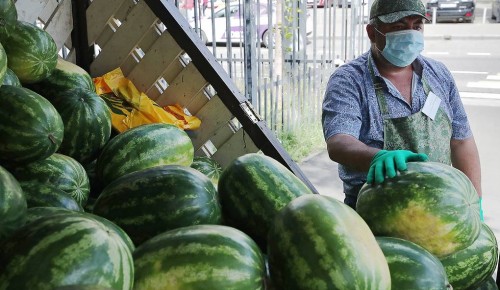 C 3 августа в Москве на развалах начнут продавать арбузы и дыни