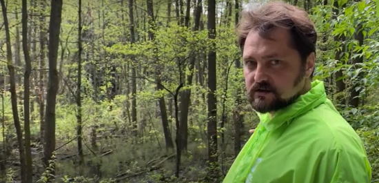 Мосприрода представила видеоподкаст о прудах Битцевского леса