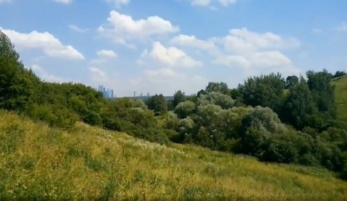 Жители Ломоносовского могут посмотреть видеоподкаст от Мосприроды о заповедных местах Крылатских холмов