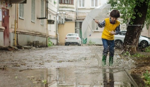 Синоптики обещают дождливую неделю жителям Академического района