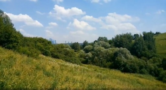 Жители Гагаринского могут посмотреть видеоподкаст Мосприроды о заповедных местах Крылатских холмов