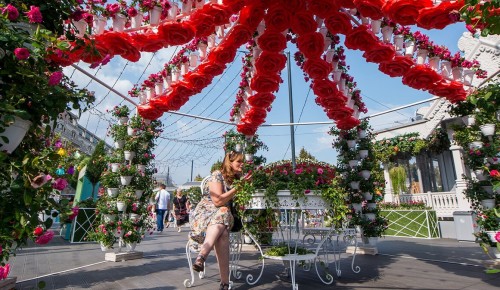 Фестивальная площадка «Цветочный джем» заработает в Черемушках с 1 сентября