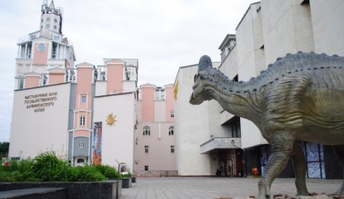 Котловчане могут ознакомиться с российскими динозаврами в Дарвиновском музее
