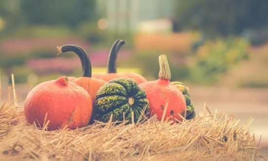 Фестиваль "Привет, осень!" устроят на Черемушкинском рынке в выходные