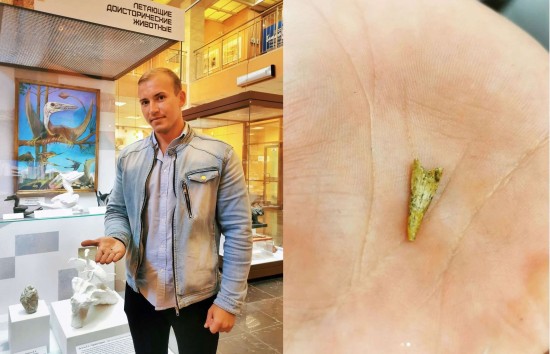 Дарвиновскому музею подарили зуб рязанского птерозавра