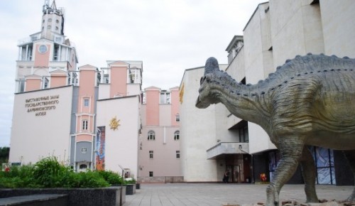 Дарвиновский музей стал площадкой проведения кинофестиваля авторского кино MosFilm Fest - 2021