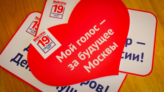 Западные эксперты дали высокую оценку системе ДЭГ на выборах в Москве