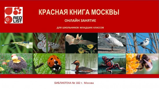 В библиотеке №182 пройдет онлайн-занятие по теме “Красная книга Москвы”