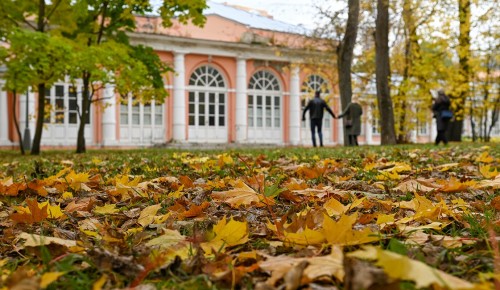 Жители ЮЗАО могут устроить красочную сезонную фотосессию в Воронцовском парке