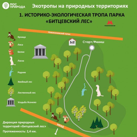 Битцевский лес в Ясеневе вошёл в число лучших территорий для осенних променадов