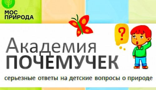 Экоцентр "Лесная сказка" 15 октября открывает онлайн-проект "Академия почемучек"
