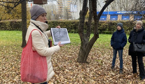 Шишки, ягоды и листья. О богатствах Воронцовского парка рассказали на экскурсии «Дары осени»