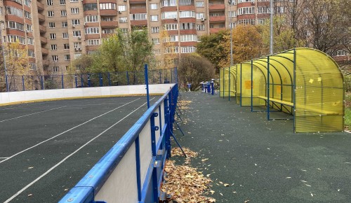 Спорт в каждый двор. Лучшие спортплощадки - в Ясеневе, Черемушках и Бутове