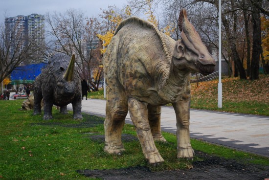 Амурозавр и олоротитан. Каких древних животных можно встретить на прогулке в Академическом районе