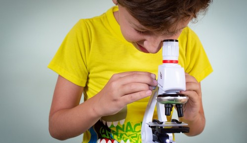Дарвиновский музей приглашает ребят на онлайн-занятие «Растения под микроскопом» 17 ноября