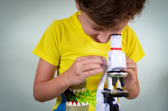 Дарвиновский музей приглашает ребят на онлайн-занятие «Растения под микроскопом» 17 ноября