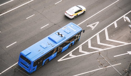 Депутаты МГД дали зеленый свет беспилотным автомобилям на дорогах Москвы