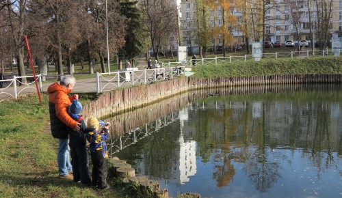 По следам боярыни Морозовой и Аввакума. Чем прославилось имение Зюзино