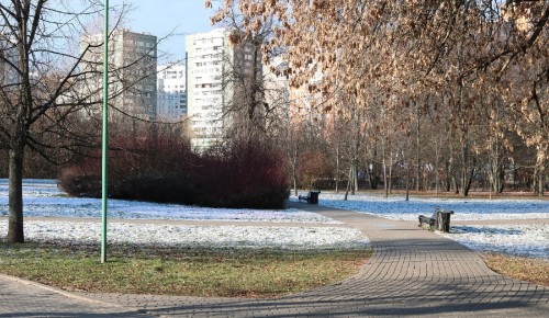 Воронцовский парк 30 ноября закрыли из-за штормового предупреждения