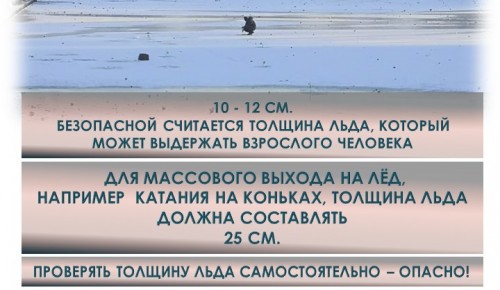 Будьте осторожны: становление льда началось на водоемах Москвы!