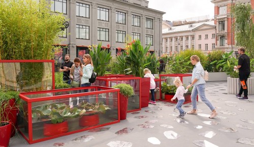 Фестиваль «Цветочный джем» стал лауреатом XII Российской национальной премии по ландшафтной архитектуре