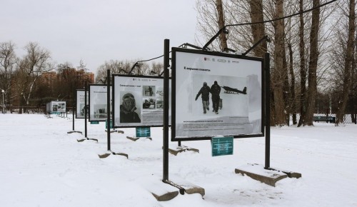 В Воронцовском парке стартовала выставка "На дрейфующих льдах Арктики"