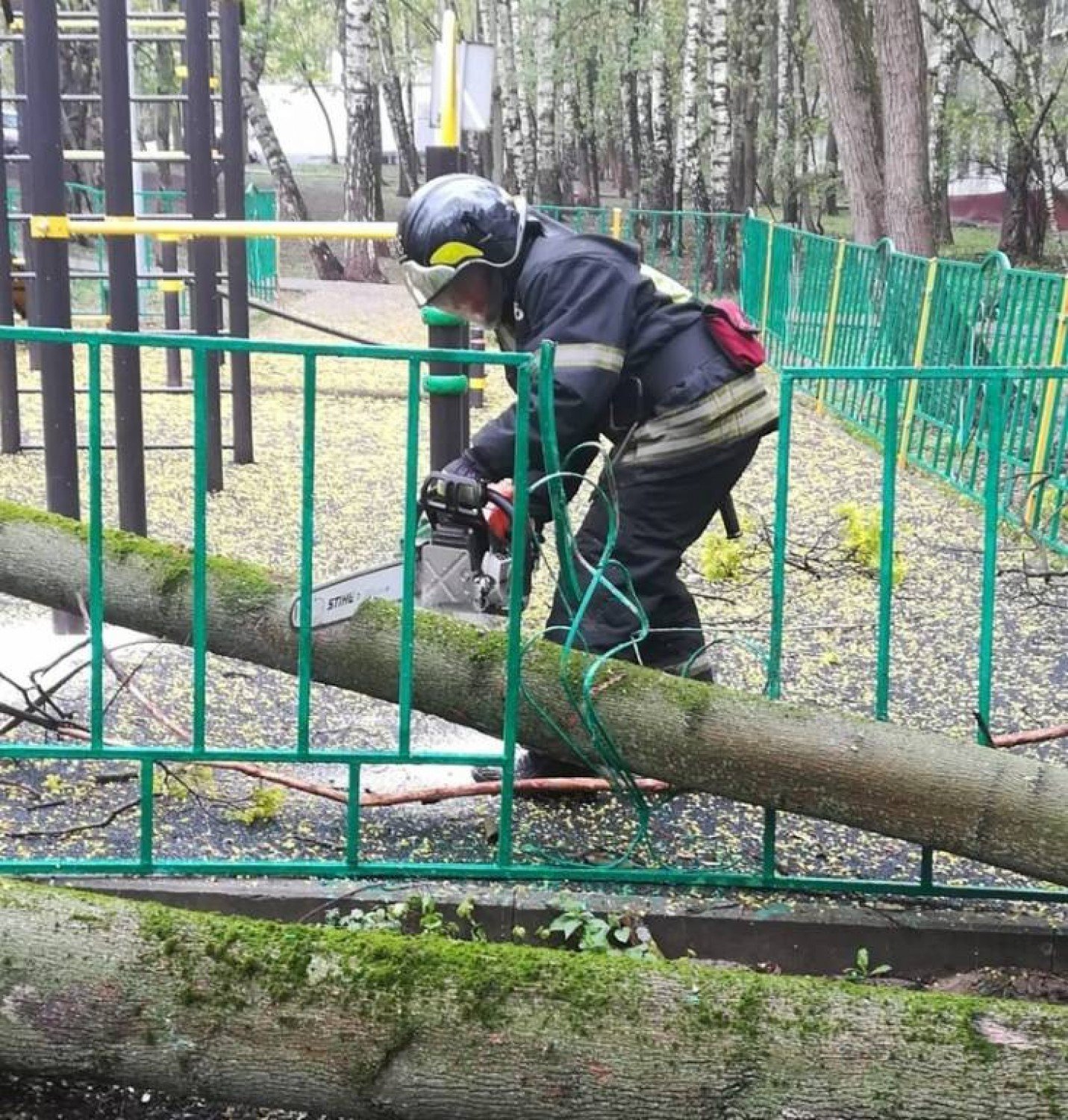 В районе Коньково упало дерево на дом