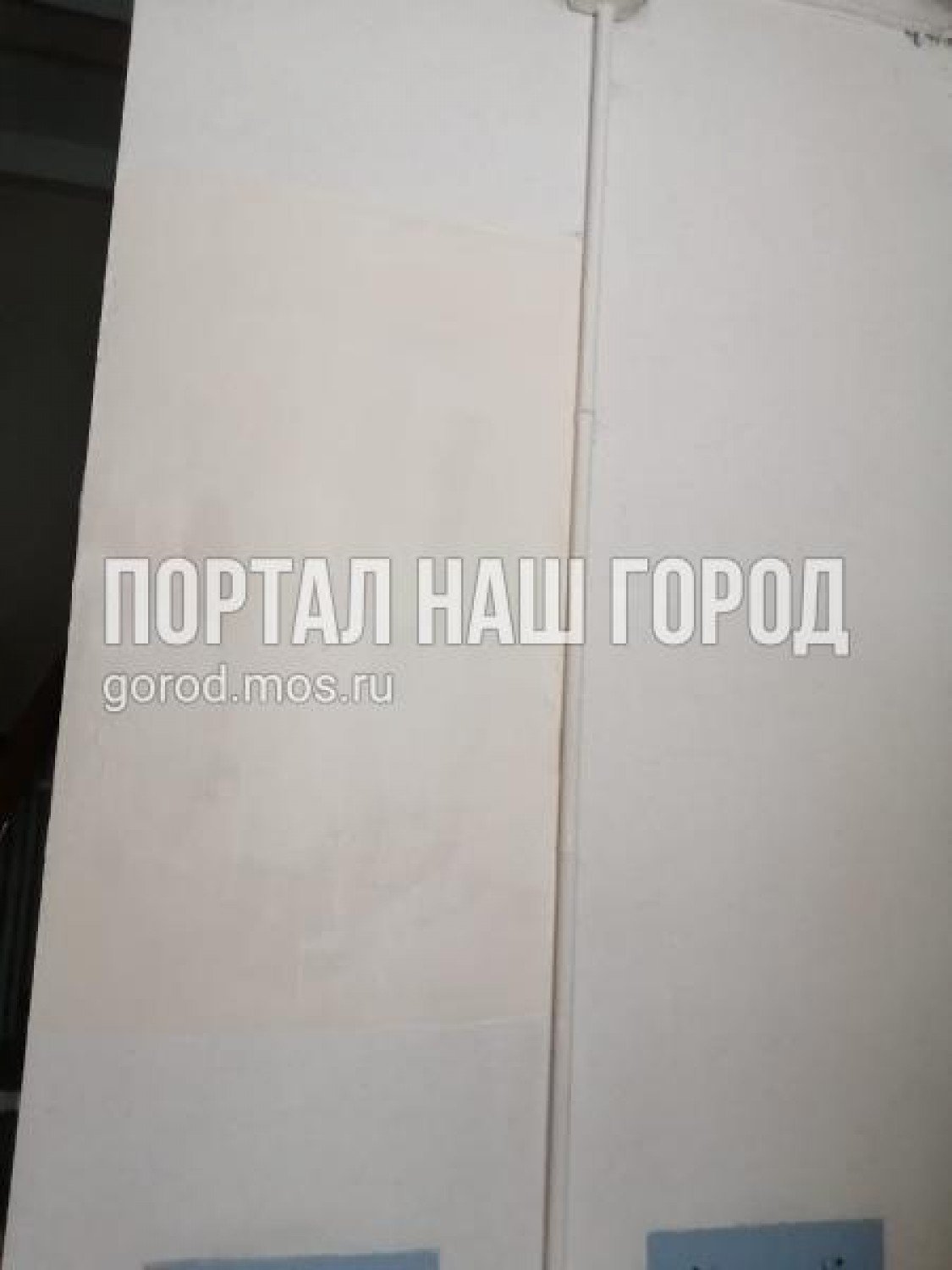 medium (2).jpg