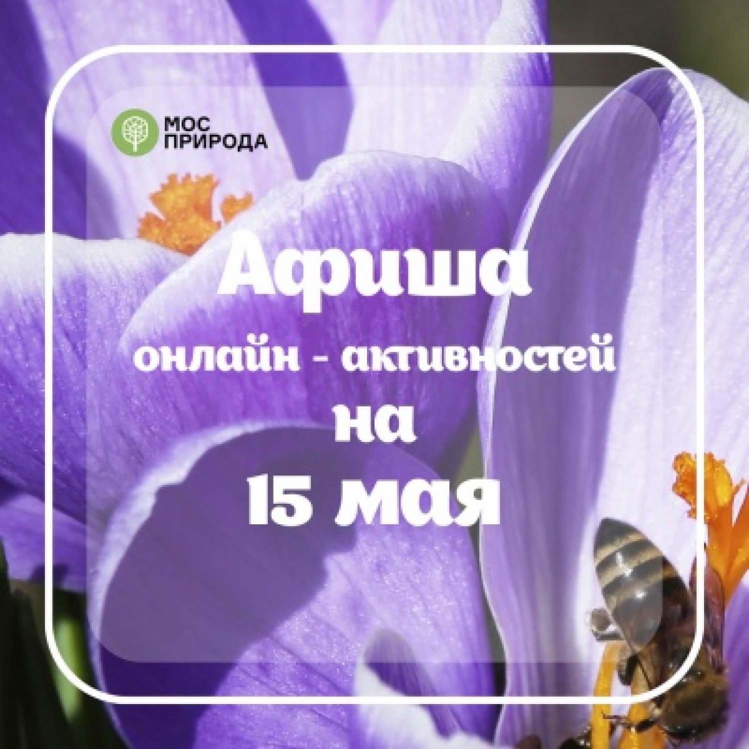 мосприрода афиша 1505.jpg